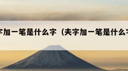 夫字加一笔是什么字（夫字加一笔是什么字答案）