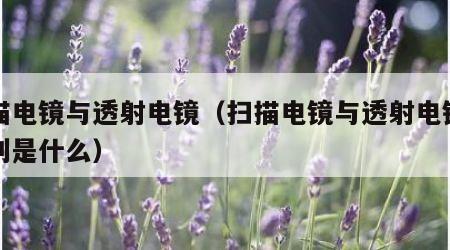 扫描电镜与透射电镜（扫描电镜与透射电镜的区别是什么）