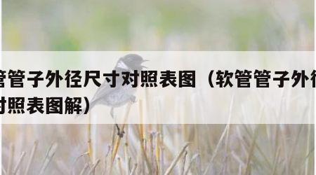 软管管子外径尺寸对照表图（软管管子外径尺寸对照表图解）