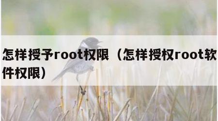 怎样授予root权限（怎样授权root软件权限）