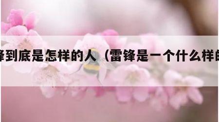 雷锋到底是怎样的人（雷锋是一个什么样的英雄）