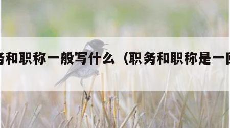 职务和职称一般写什么（职务和职称是一回事吗）