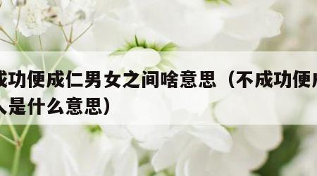 不成功便成仁男女之间啥意思（不成功便成仁的人是什么意思）