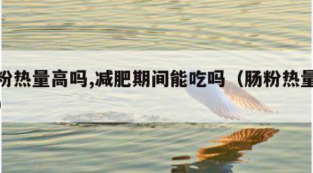 肠粉热量高吗,减肥期间能吃吗（肠粉热量大么）