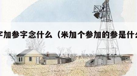 米字加参字念什么（米加个参加的参是什么字）