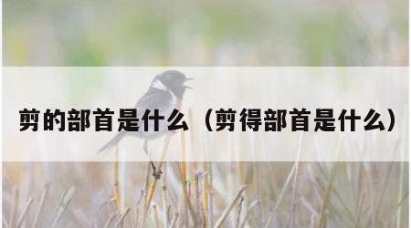 剪的部首是什么（剪得部首是什么）