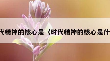 时代精神的核心是（时代精神的核心是什么）
