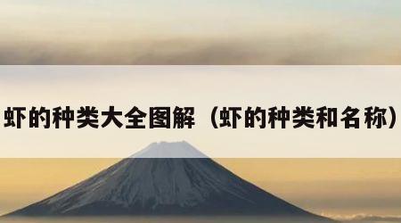 虾的种类大全图解（虾的种类和名称）