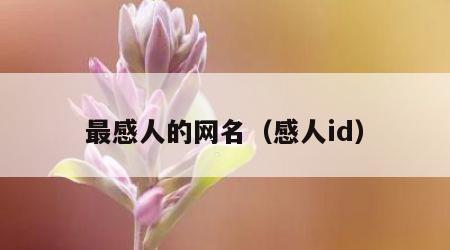 最感人的网名（感人id）
