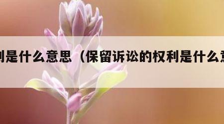 权利是什么意思（保留诉讼的权利是什么意思）