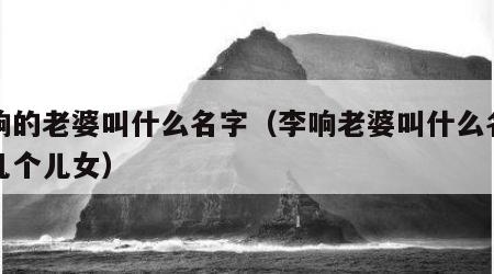 李响的老婆叫什么名字（李响老婆叫什么名字有几个儿女）