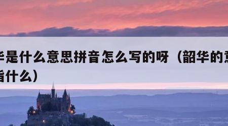 韶华是什么意思拼音怎么写的呀（韶华的意思是指什么）