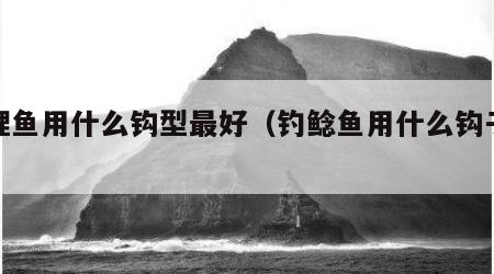 钓鲤鱼用什么钩型最好（钓鲶鱼用什么钩子最好）