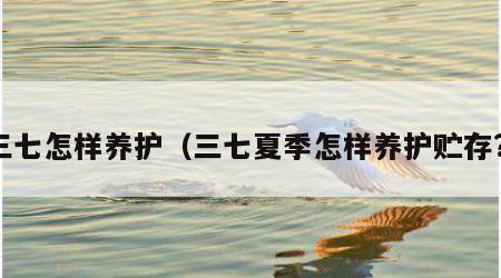 三七怎样养护（三七夏季怎样养护贮存?）