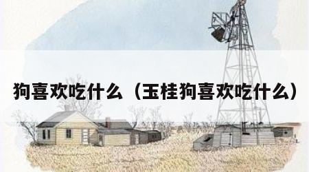 狗喜欢吃什么（玉桂狗喜欢吃什么）