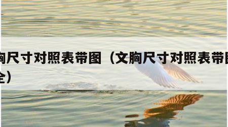 文胸尺寸对照表带图（文胸尺寸对照表带图片大全）