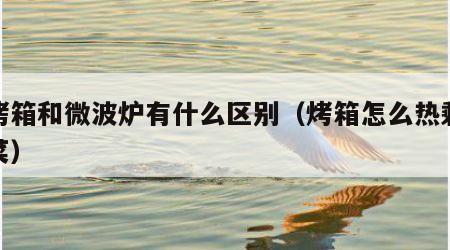 电烤箱和微波炉有什么区别（烤箱怎么热剩饭剩菜）