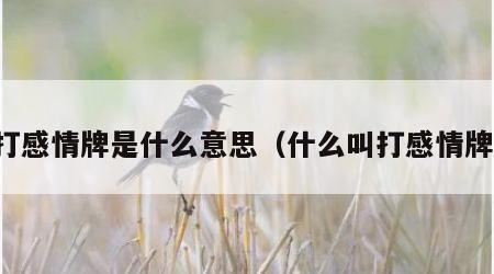 打感情牌是什么意思（什么叫打感情牌）