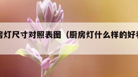 厨房灯尺寸对照表图（厨房灯什么样的好看图片）