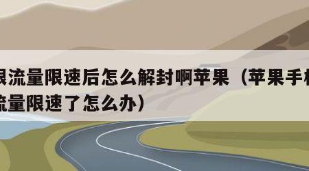 无限流量限速后怎么解封啊苹果（苹果手机无限流量限速了怎么办）