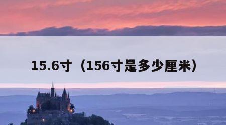 15.6寸（156寸是多少厘米）