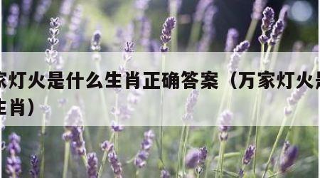 万家灯火是什么生肖正确答案（万家灯火是哪个生肖）