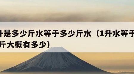 1升是多少斤水等于多少斤水（1升水等于多少斤大概有多少）