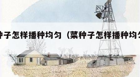 菜种子怎样播种均匀（菜种子怎样播种均匀发芽）