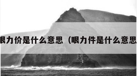 眼力价是什么意思（眼力件是什么意思）
