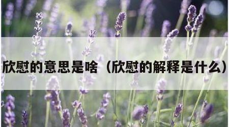 欣慰的意思是啥（欣慰的解释是什么）