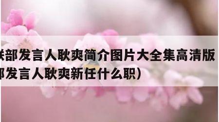 外联部发言人耿爽简介图片大全集高清版（外交部发言人耿爽新任什么职）