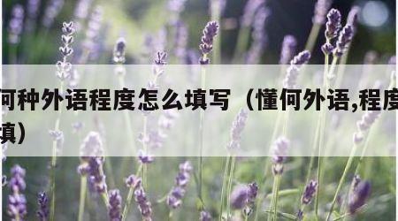 懂何种外语程度怎么填写（懂何外语,程度怎么填）