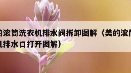 美的滚筒洗衣机排水阀拆卸图解（美的滚筒洗衣机排水口打开图解）