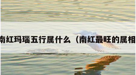 南红玛瑙五行属什么（南红最旺的属相）