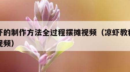 凉虾的制作方法全过程摆摊视频（凉虾教程方法视频）