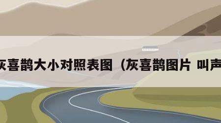 灰喜鹊大小对照表图（灰喜鹊图片 叫声）
