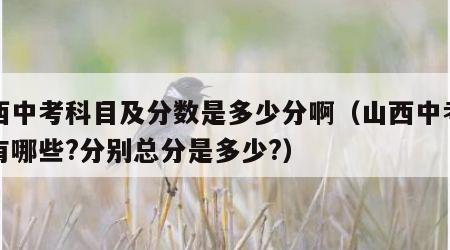山西中考科目及分数是多少分啊（山西中考科目有哪些?分别总分是多少?）