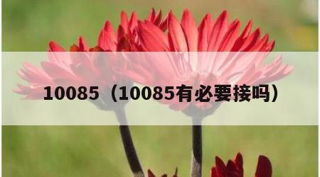 10085（10085有必要接吗）