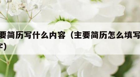 主要简历写什么内容（主要简历怎么填写500字）