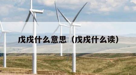 戊戌什么意思（戊戌什么读）