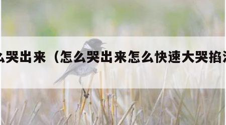 怎么哭出来（怎么哭出来怎么快速大哭掐泪腺）
