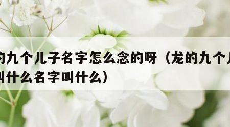 龙的九个儿子名字怎么念的呀（龙的九个儿子都叫什么名字叫什么）
