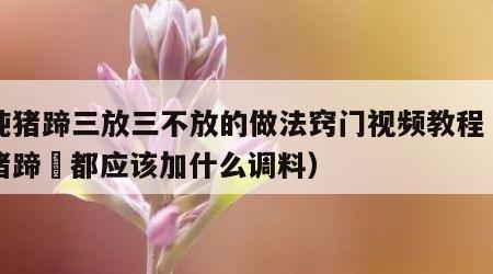清炖猪蹄三放三不放的做法窍门视频教程（清炖猪蹄髈都应该加什么调料）