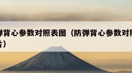 防弹背心参数对照表图（防弹背心参数对照表图片）