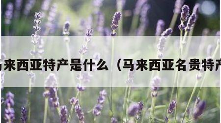 马来西亚特产是什么（马来西亚名贵特产）