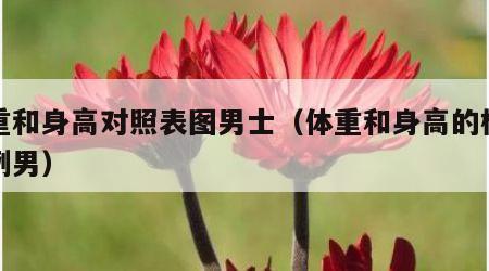 体重和身高对照表图男士（体重和身高的标准比例男）