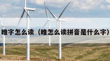 睢字怎么读（睢怎么读拼音是什么字）