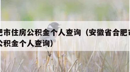 合肥市住房公积金个人查询（安徽省合肥市住房公积金个人查询）