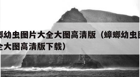 蟑螂幼虫图片大全大图高清版（蟑螂幼虫图片大全大图高清版下载）
