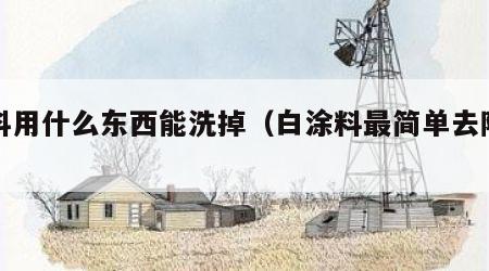 涂料用什么东西能洗掉（白涂料最简单去除方法）